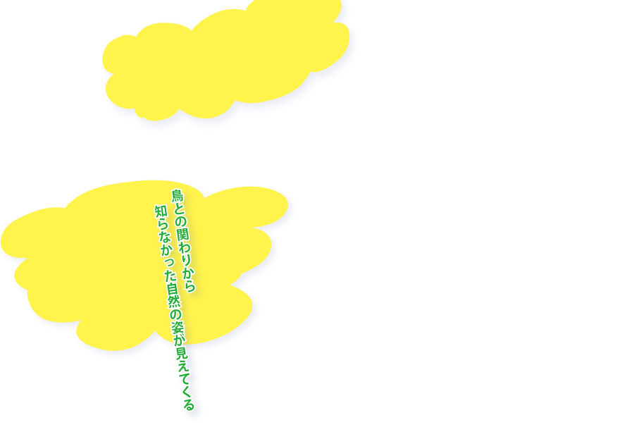鳥の眼で見る自然展