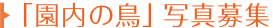園内の鳥写真募集