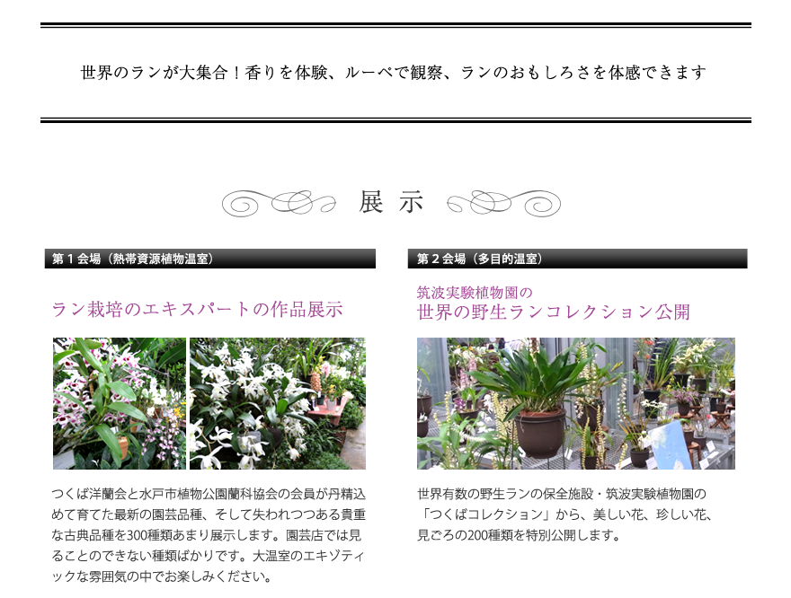 世界のランが大集合　展示第一会場「ラン栽培のエキスパートの作品展示」　第二会場「筑波実験植物園の世界の野生ランコレクション」