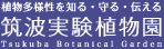筑波実験植物園ロゴマーク