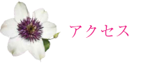アクセス