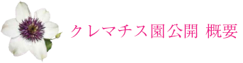 クレマチス園公開　概要
