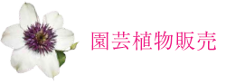 園芸植物販売