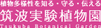 筑波実験植物園ロゴマーク