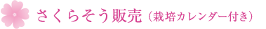 さくらそう販売