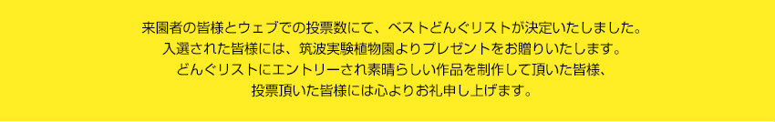 来園者の皆さまとウエブでの投票数にて、ベストどんぐリストが決定いたしました。入選された皆さまには、筑波実験植物園よりプレゼントをお贈りいたします。どんぐりストにエントリ^－されすばらしい作品を制作していただいた皆様、投票いただいた皆様には心よりお礼申し上げます。