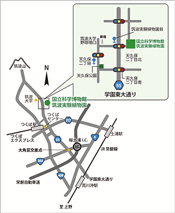 筑波実験植物園 アクセスマップ