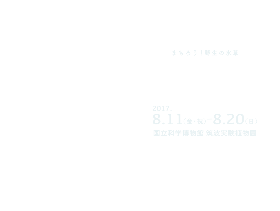 水草展2017　まもろう！野生の水草