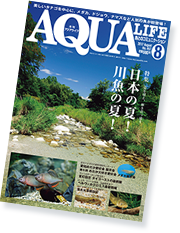アクアライフ8号表紙