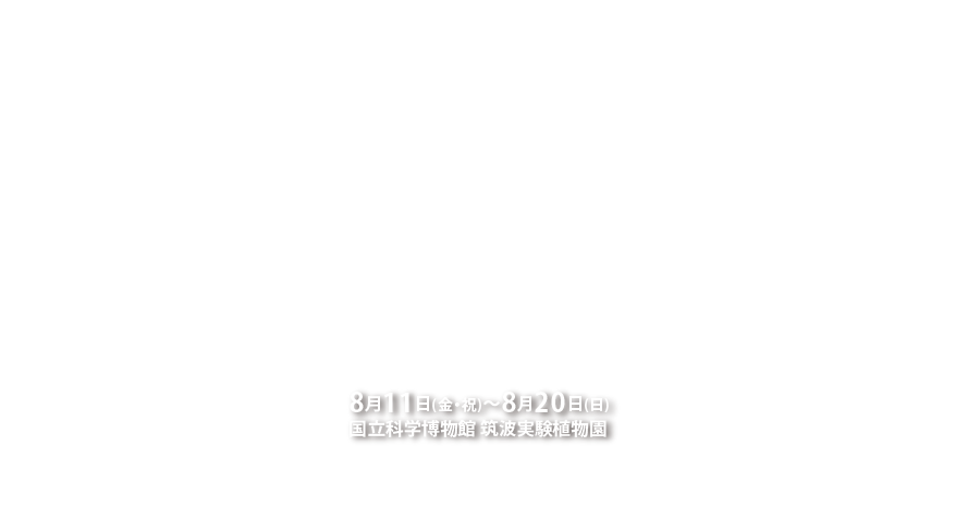 水草展2017ブログ