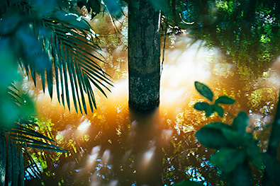 写真展の画像（池田晶紀）