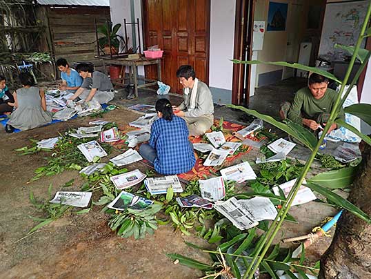 宿での押し葉標本