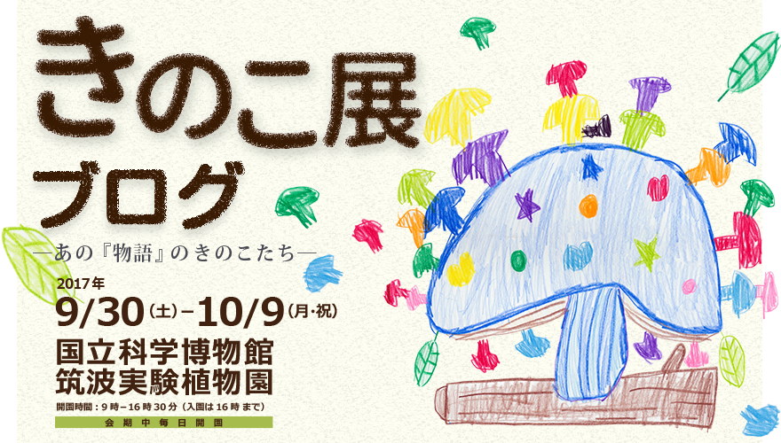 きのこ展2017　―あの『物語』のきのこたち― ブログ