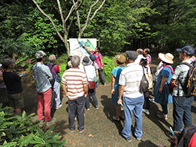 園内きのこ案内イメージ