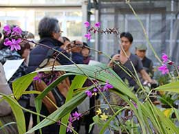 つくばコレクションガイドツアーの様子