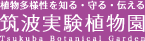 筑波実験植物園ロゴマーク