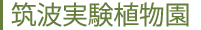 筑波実験植物園