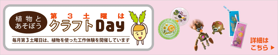 植物とあそぼう。第3土曜はクラフトデー！植物を使った工作体験を開催しています。詳細はこちら