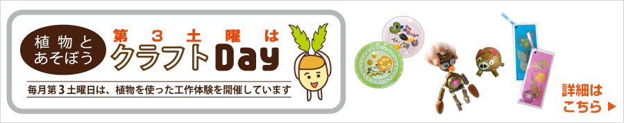 植物とあそぼう。第3土曜はクラフトデー！植物を使った工作体験を開催しています。詳細はこちら