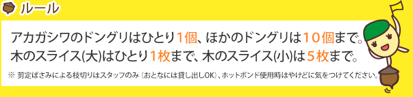 アカガシワのドングリはひとり1個、ほかのドングリは10個まで。　木のスライス(大)はひとり1枚まで、木のスライス(小)は５枚まで。枝切りはスタッフのみ（おとなには貸し出しOK）、ホットボンド使用時はやけどに気をつけてください。