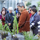 らんらんガイド