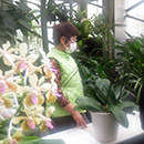 ランの育て方・持ち込み相談コーナー