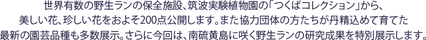 世界有数の野生ランの保全施設、筑波実験植物園の「つくばコレクション」から、美しい花、珍しい花をおよそ200点公開します。また協力団体の方たちが丹精込めて育てた最新の園芸品種も多数展示。さらに今回は、南硫黄島に咲く野生ランの研究成果を特別展示します。