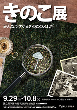 ポスターラフ案