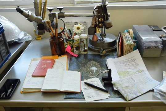 ポスター撮影の様子