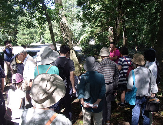 園内きのこ案内