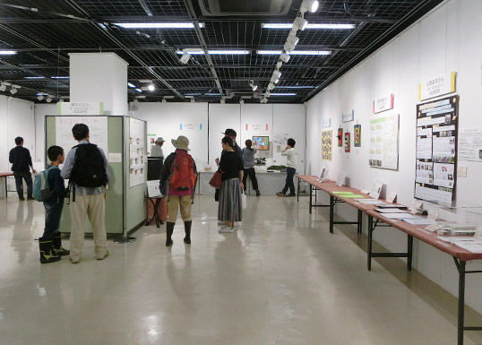 室内の自由研究の紹介展示