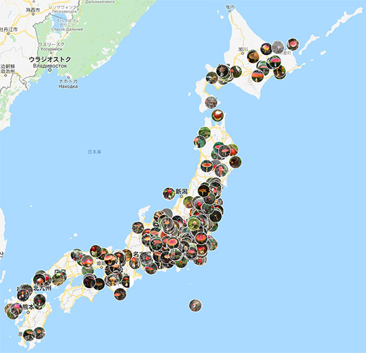 グーグルマップ　タマゴタケ・ベニテングタケマップ