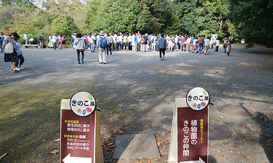 園内きのこ案内