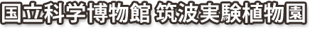 場所：国立科学博物館筑波実験植物園