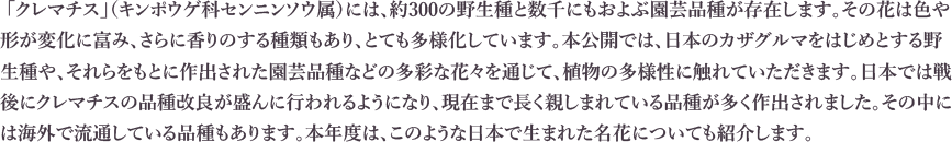「クレマチス」（キンポウゲ科センニンソウ属）には、約300の野生種と数千にもおよぶ園芸品種が存在します。その花は色や形が変化に富み、さらに香りのする種類もあり、とても多様化しています。本公開では、日本のカザグルマをはじめとする野生種や、それらをもとに作出された園芸品種などの多彩な花々を通じて、植物の多様性に触れていただきます。日本では戦後にクレマチスの品種改良が盛んに行われるようになり、現在まで長く親しまれている品種が多く作出されました。その中には海外で流通している品種もあります。本年度は、このような日本で生まれた名花についても紹介します。