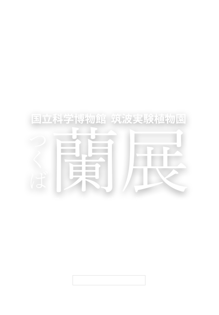 つくば蘭展2019―ランを知る・守る・伝える―国立科学博物館　筑波実験植物園　会期：2019年6月16日～6月23日　会期中毎日開園