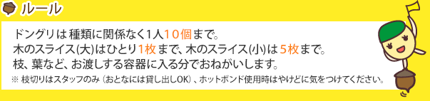 アカガシワのドングリはひとり1個、ほかのドングリは10個まで。　木のスライス(大)はひとり1枚まで、木のスライス(小)は５枚まで。枝切りはスタッフのみ（おとなには貸し出しOK）、ホットボンド使用時はやけどに気をつけてください。