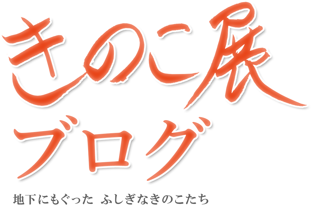 きのこ展2019 ～地下にもぐったふしぎなきのこたち～