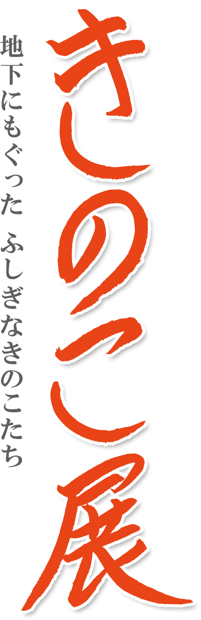 きのこ展2019 ～地下にもぐったふしぎなきのこたち～