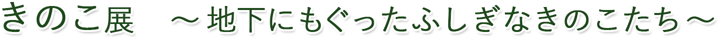 きのこ展 ～地下にもぐったふしぎなきのこたち～について