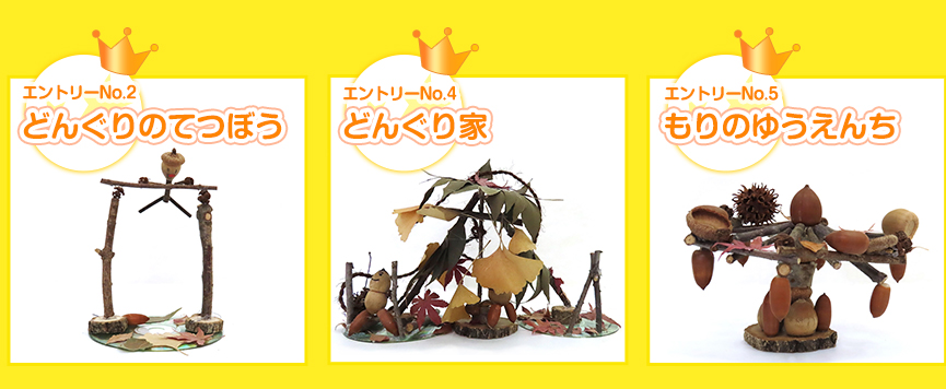 こどもの部とおとな親子の部　ベストどんぐリスト