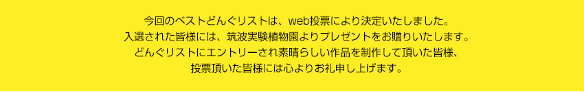 来園者の皆さまとウェブでの投票数にて、ベストどんぐリストが決定いたしました。入選された皆さまには、筑波実験植物園よりプレゼントをお贈りいたします。どんぐりストにエントリーされ素晴らしい作品を制作していただいた皆様、投票いただいた皆様には心よりお礼申し上げます。