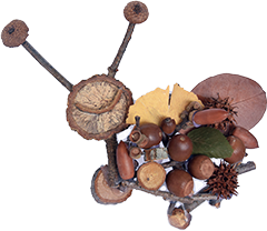 どんぐりクラフト