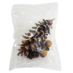 まつぼっくりクラフトセット