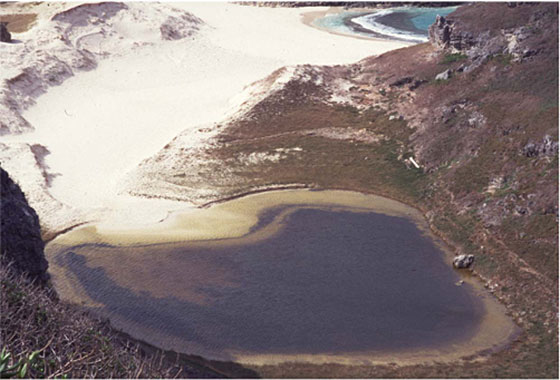 小笠原諸島の南島