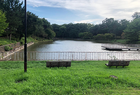 つくば市某所の公園
