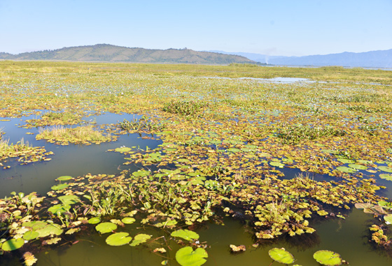 インドージー湖