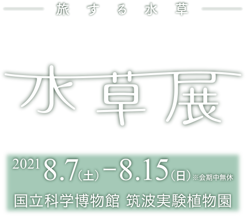 水草展2021　旅する水草
