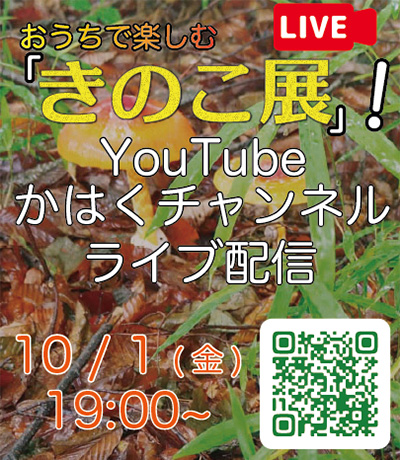 YouTubeかはくチャンネルライブ配信お知らせ　10月1日（金）19時から