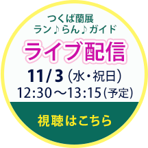 ライブ配信　つくば蘭展　ラン♪らん♪ガイド　配信日時2021年11月3日（水・祝日）12時30分